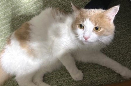 thumbnail_IMG_4925 (2)