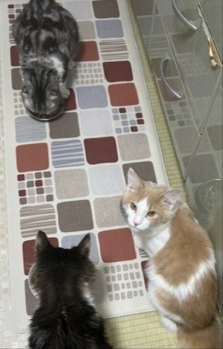 thumbnail_IMG_4990 (1)_1