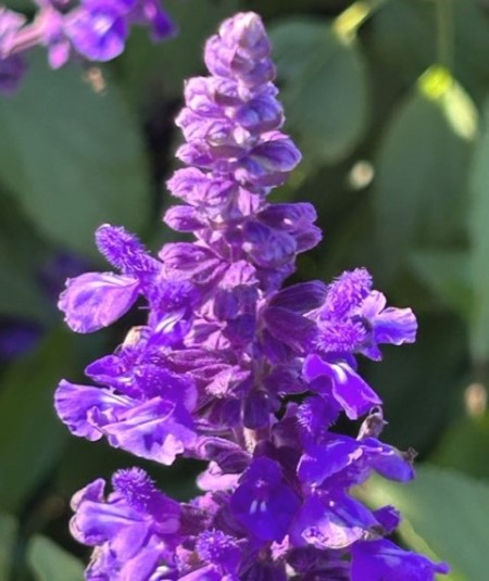 thumbnail_IMG_7859