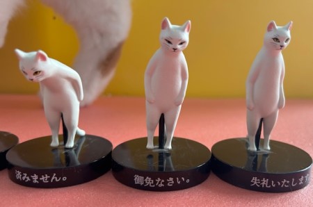 thumbnail_IMG_2390 (1)