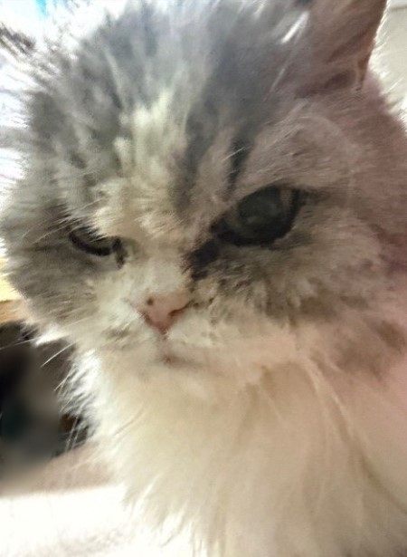 f760b13a-8e9c-403d-890d-762692c83cca