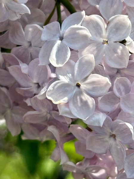 thumbnail_IMG_6837 (1)