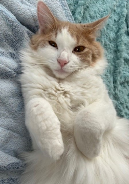 thumbnail_IMG_1578 (2)