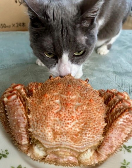 thumbnail_IMG_3380 (2)