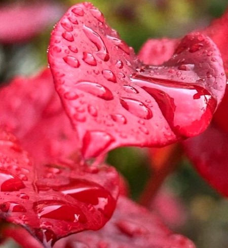 thumbnail_IMG_7927