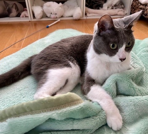 thumbnail_IMG_0017 (2)