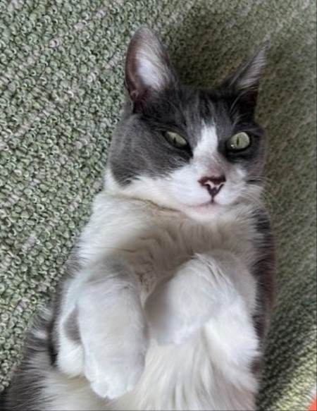 thumbnail_IMG_6026 (1)