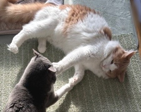 5c31aa9d-020b-4c49-98b1-f1d6e366fa31