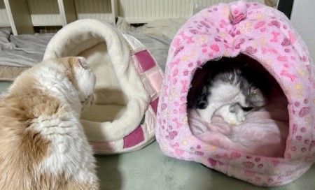 thumbnail_IMG_4766 (1)