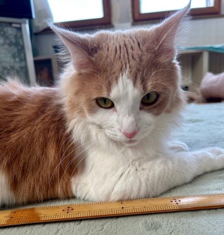 thumbnail_IMG_5203 (1)