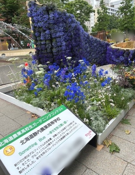 thumbnail_IMG_2114 (1)