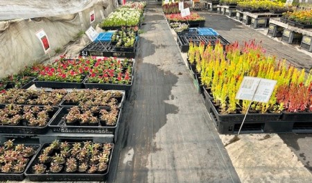 thumbnail_IMG_7864 (1)