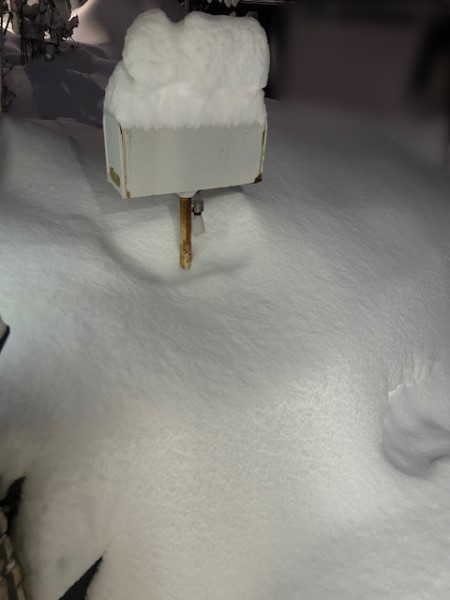 3c2fc5fc-f0f5-4165-afab-0c06f7bc14c0