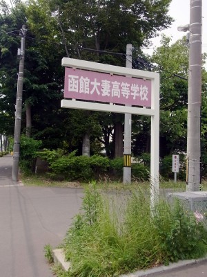 「猫だらけ」