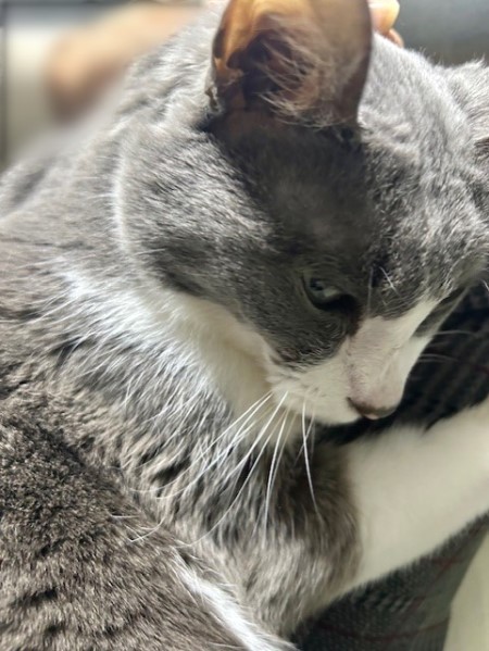 b922807b-0768-4792-8ba0-c851cffbb69b