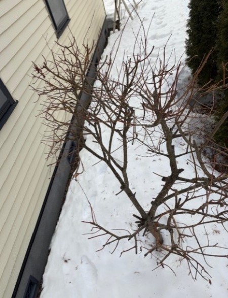 c939c0cd-da14-4182-a2fe-940c4327c6e0