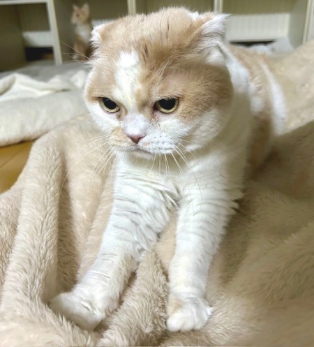 thumbnail_IMG_1520 (1)