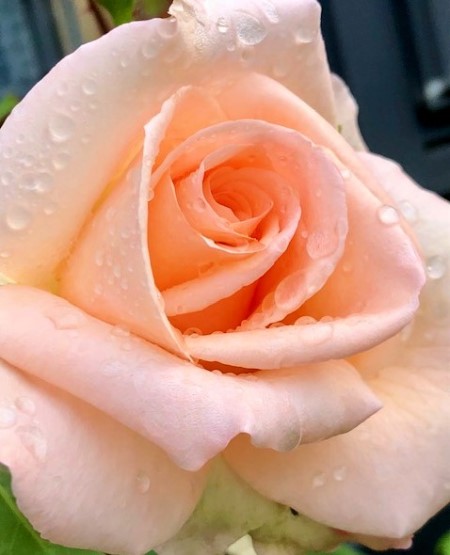 thumbnail_IMG_4682 (2)