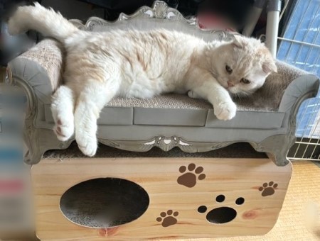 thumbnail_IMG_3349_1