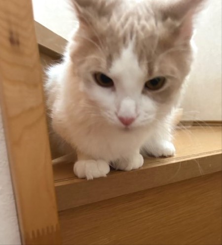 thumbnail_IMG_5809 (1)