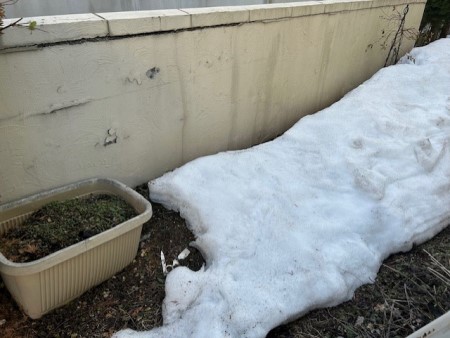 thumbnail_IMG_7946 (1)