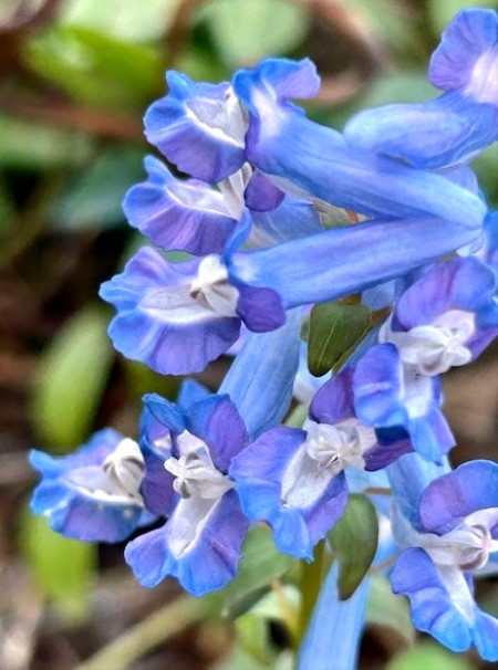 thumbnail_IMG_4998 (1)