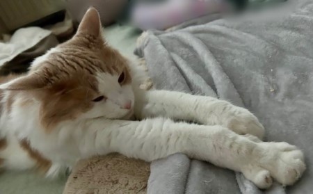 thumbnail_IMG_4645 (1)