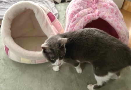 thumbnail_IMG_4751 (3)