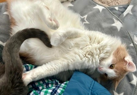 thumbnail_IMG_4305 (1)