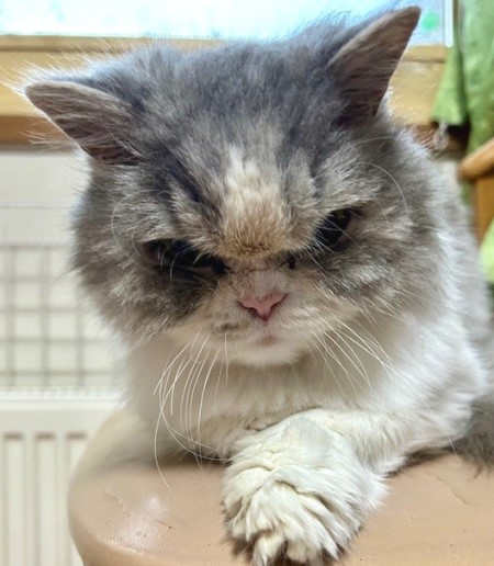 thumbnail_IMG_3347 (1)