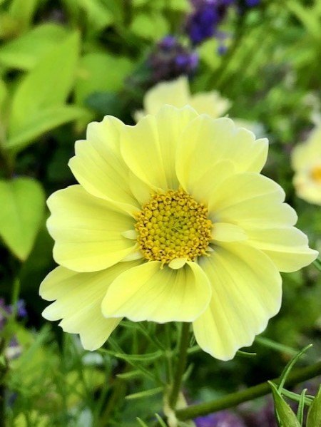 thumbnail_IMG_4761