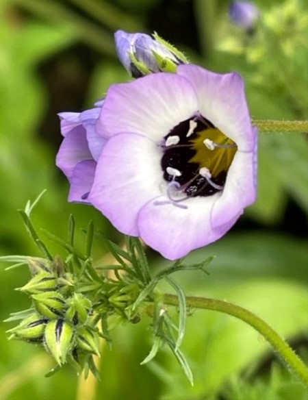 thumbnail_IMG_2132