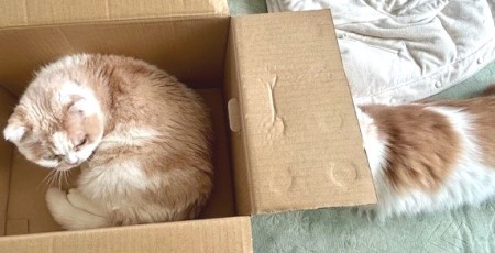 thumbnail_IMG_2882 (2)