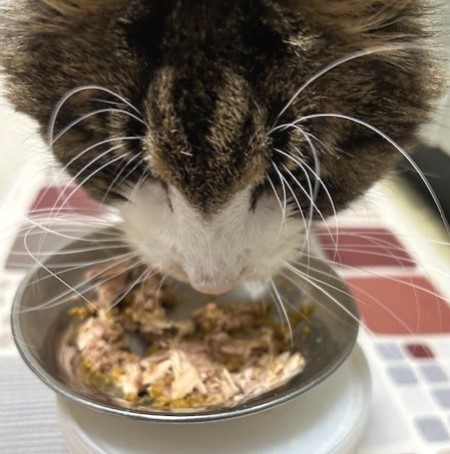 thumbnail_IMG_6035 (1)