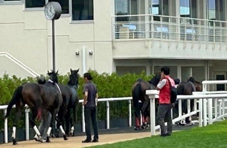 thumbnail_IMG_1530 (1)