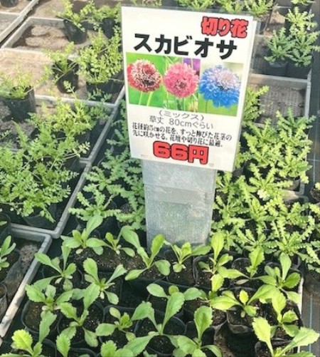 thumbnail_IMG_5344 (1)