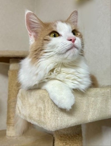 af2ee90c-f282-48a9-b497-d61a3241aaa0