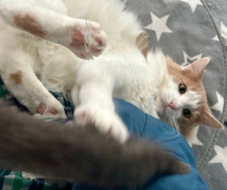 thumbnail_IMG_4315 (1)