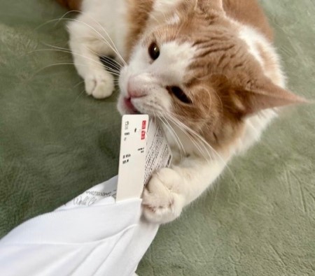 thumbnail_IMG_6728 (1)