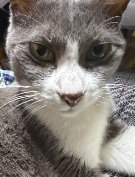 ea527dab-dd07-4b6e-94fa-63f7689f15c5