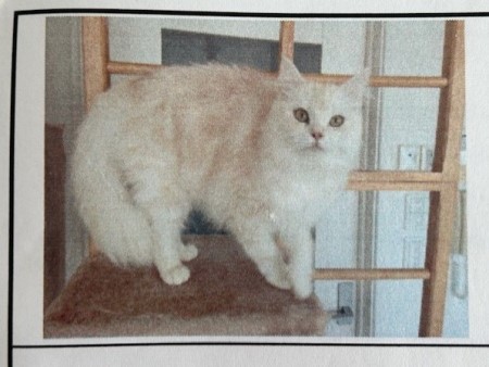 thumbnail_IMG_6358 (1)