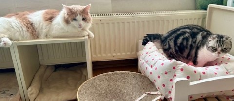 thumbnail_IMG_3058 (1)