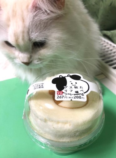 猫に 待て と言ってみたら 猫だらけ Powered By ライブドアブログ 猫に 待て と言ってみたら 猫だらけ Powered By ライブドアブログ