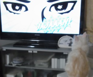 「猫だらけ」