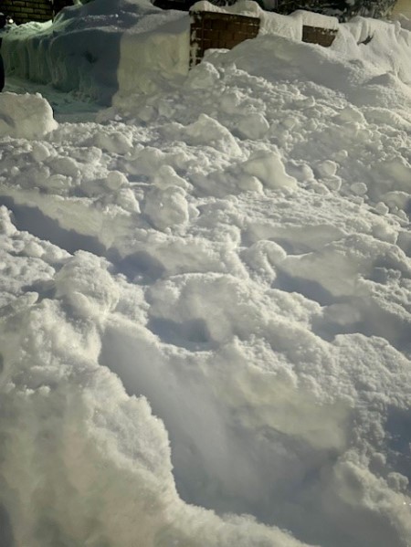 2a443138-231d-48aa-a92d-b55337337c62