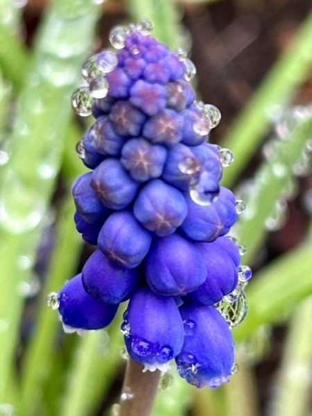 thumbnail_IMG_4676 (1)