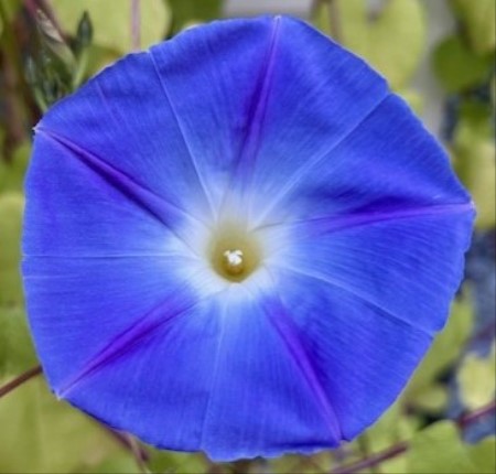 thumbnail_IMG_3522 (1)