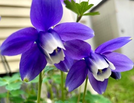 thumbnail_IMG_6474 (1)