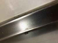 IMG_53653_1