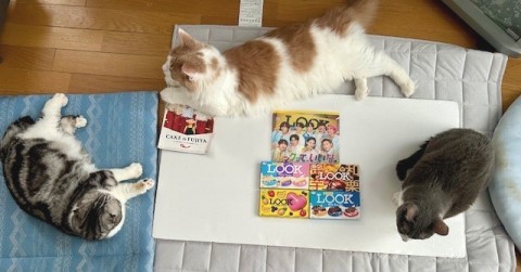 thumbnail_IMG_2171 (1)